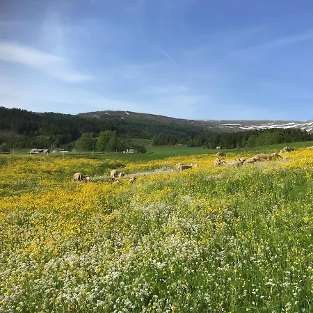 Charming With Jacuzzi And Patio 度假居 史特林
